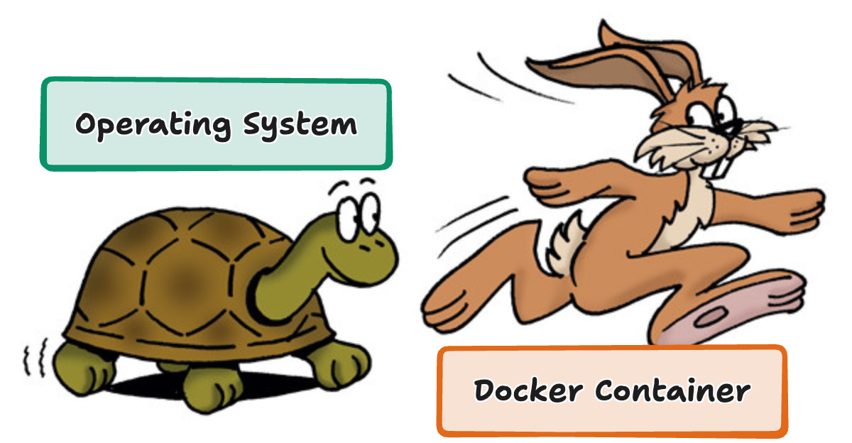 turt-vs-her