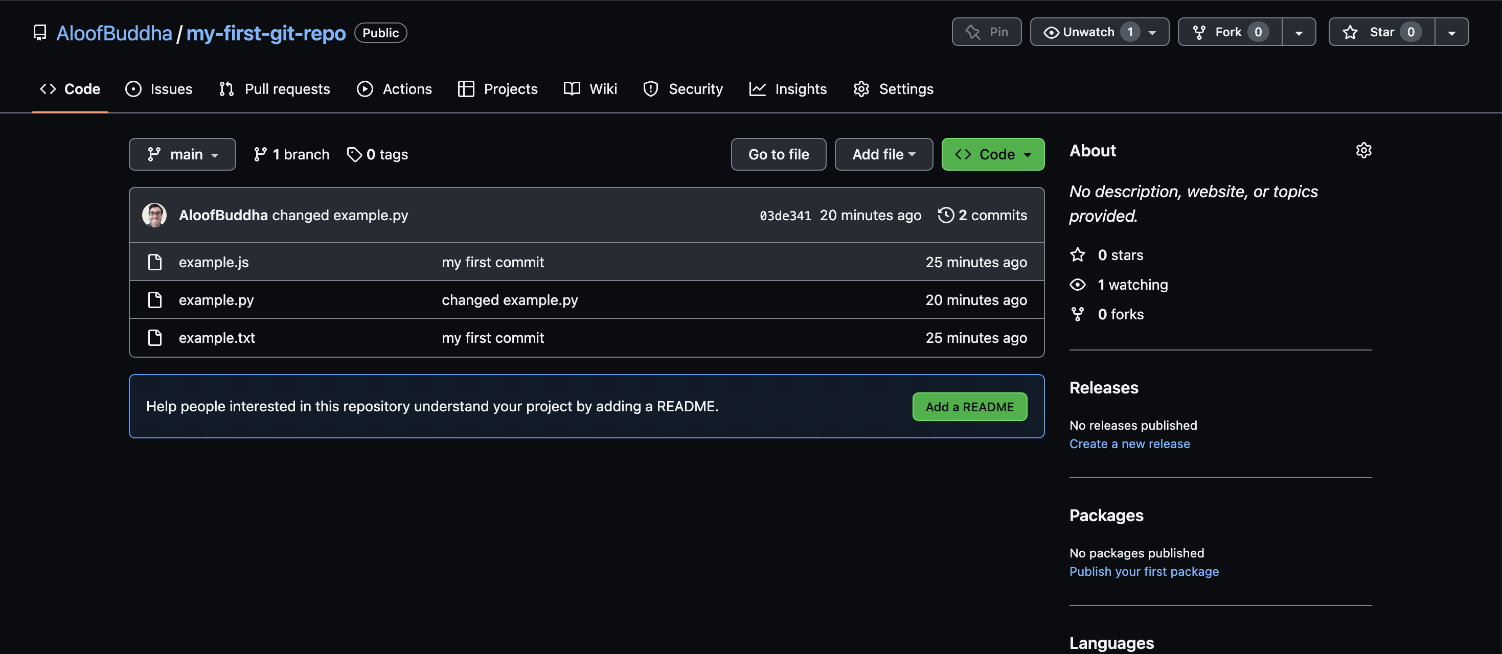 new repo pushed