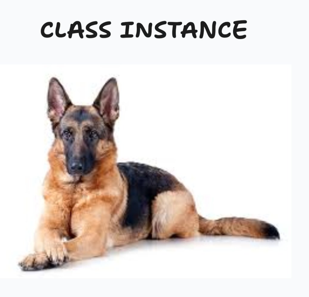 instance